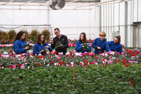 Ornamental plant production - Campus de Pouillé Ornamental plant production - Campus de Pouillé