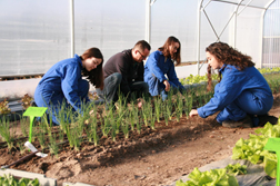 Vegetable production - campus de Pouillé Vegetable production - campus de Pouillé