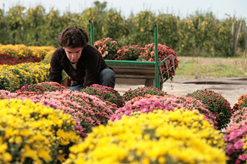 Ornamental plants production - Campus de Pouillé Ornamental plants production - Campus de Pouillé