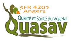 logo SFR QUASAV logo SFR QUASAV